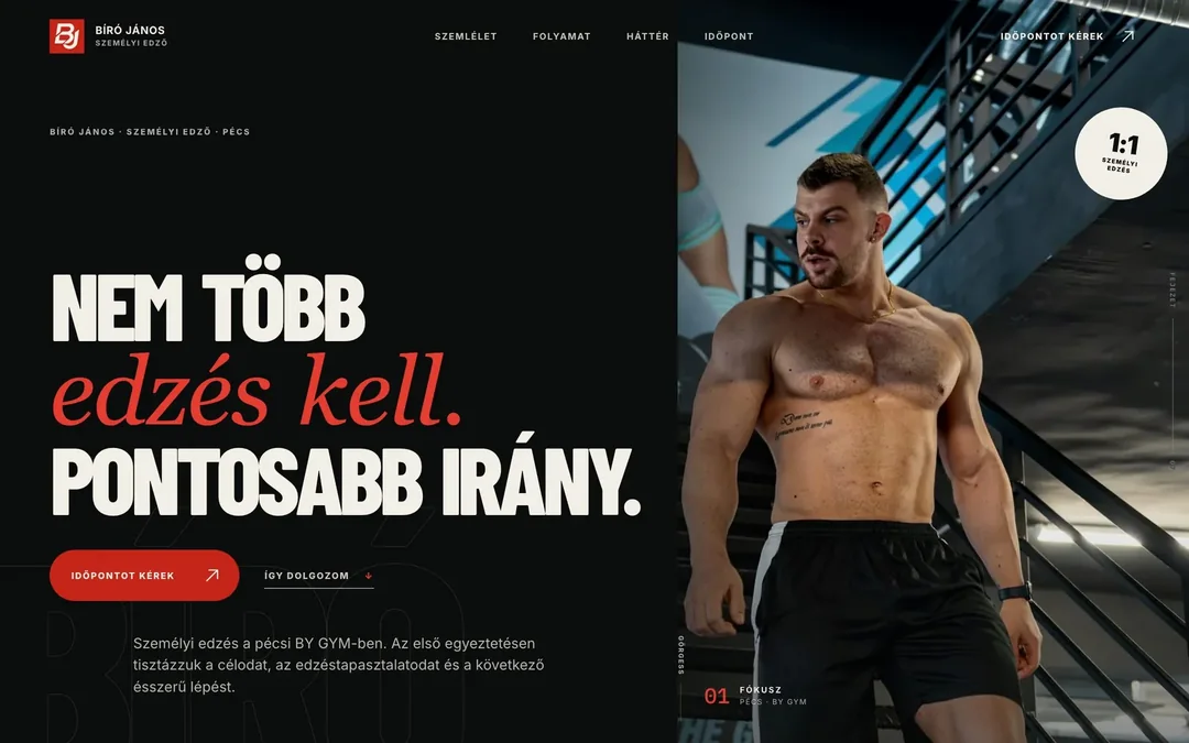 Bíró János — weboldal